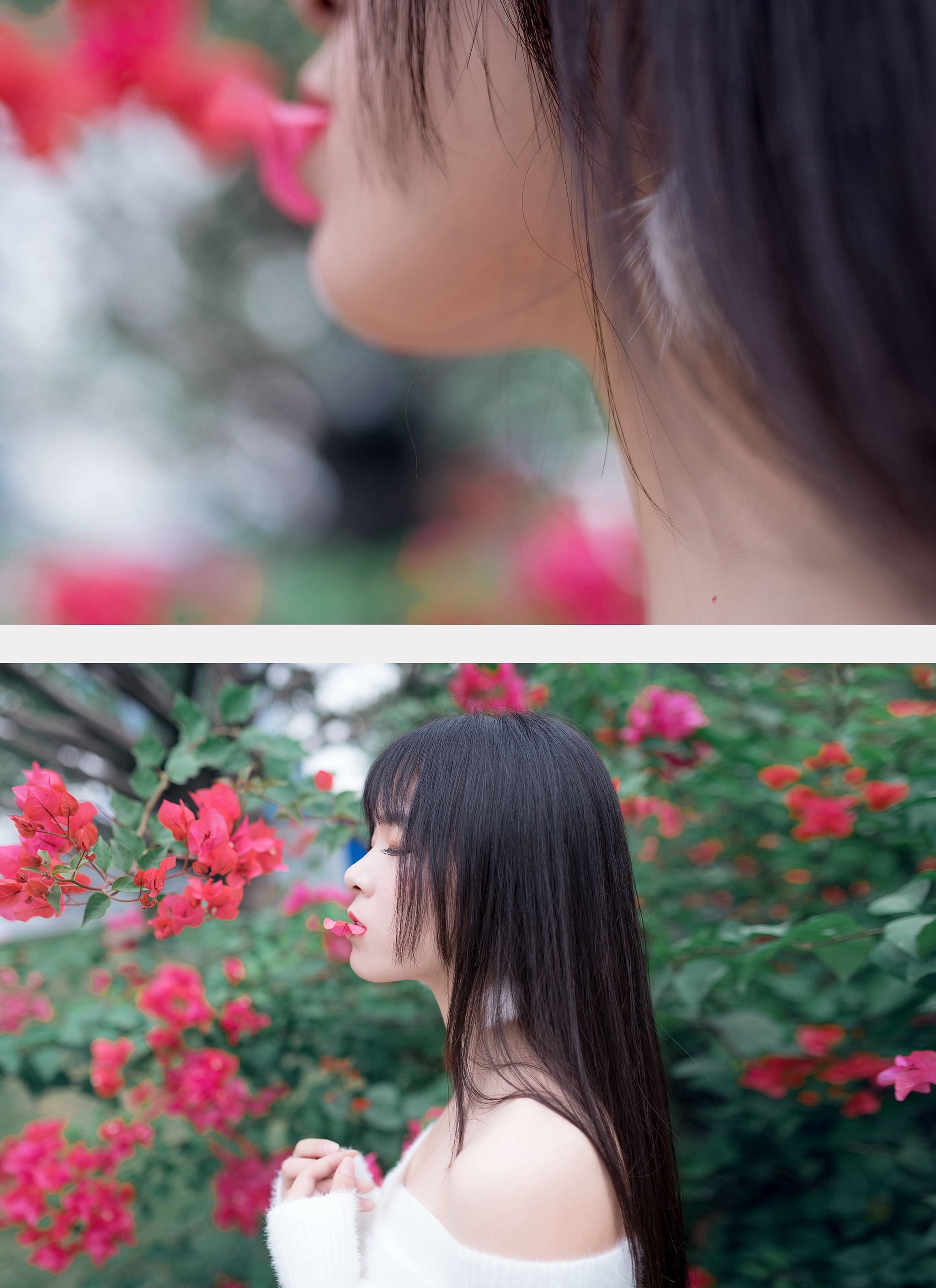 图片[1]-风之领域 – NO.197 香肩上的花瓣 [52P]-XikXak